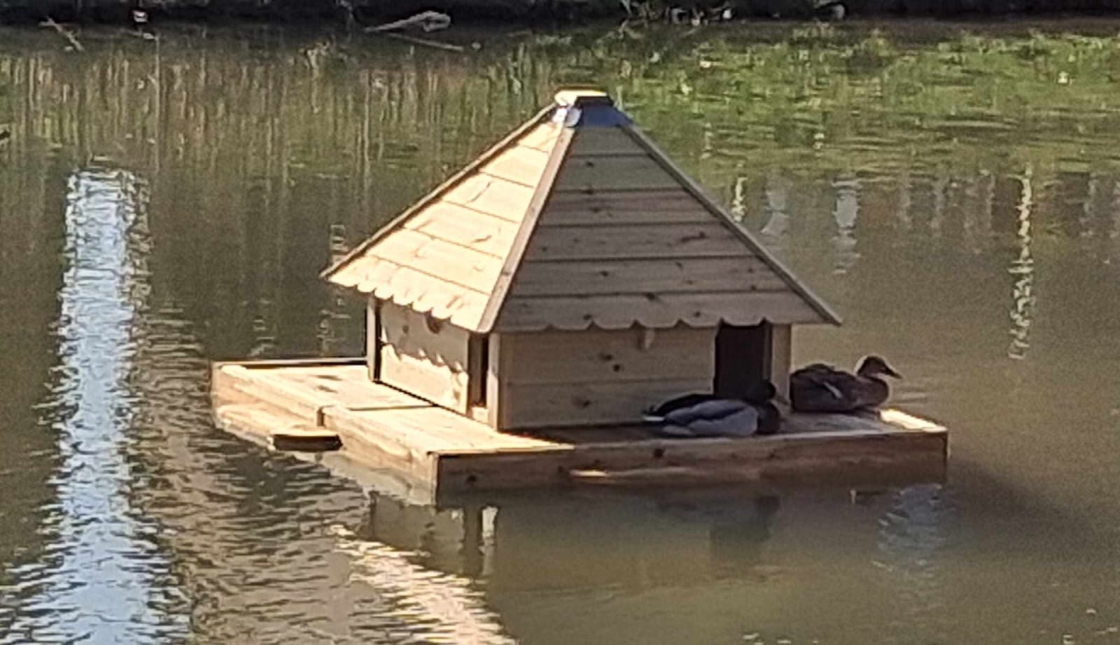 photo of the duck house on Honeyholes Lane