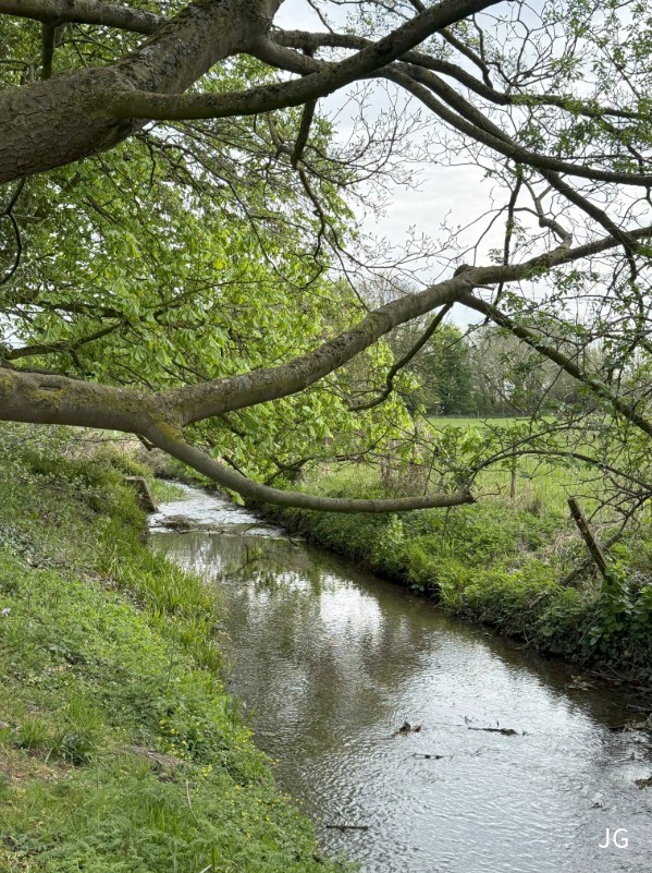 photo of the beck